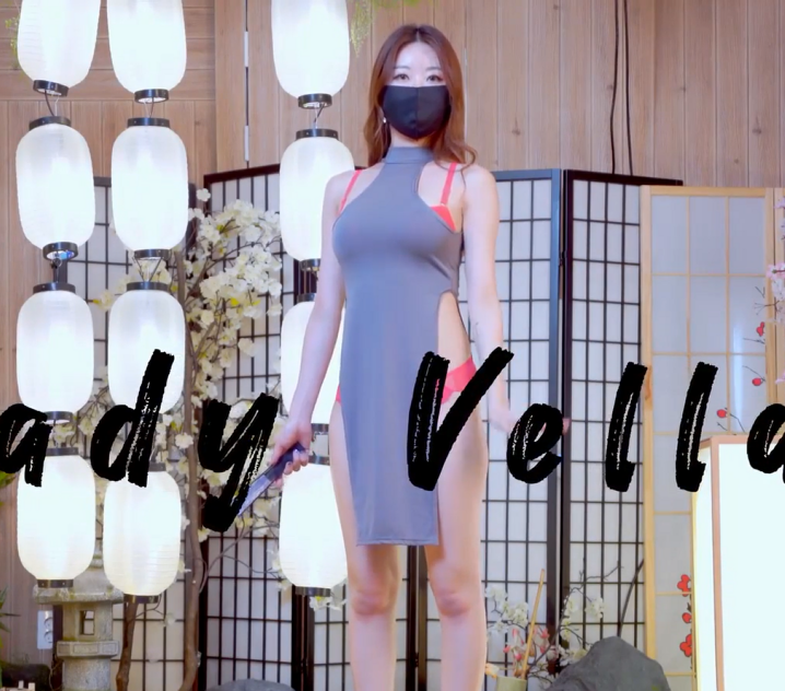 油管32万粉丝韩国内衣博主 Lady Vella 私定合集[8V-1.57G]