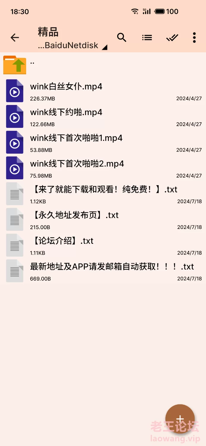 wink是可爱的wink 退圈前作品，极品萝莉 [4v-492MB]