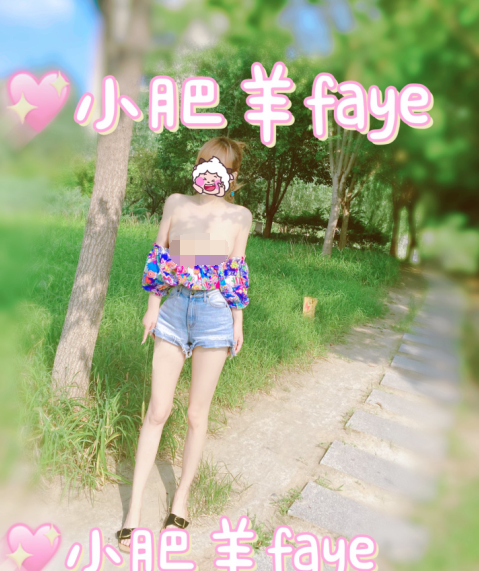 推特极品骚鸡 faye小肥羊 各种自慰露出小视图[114P-22V-100M]