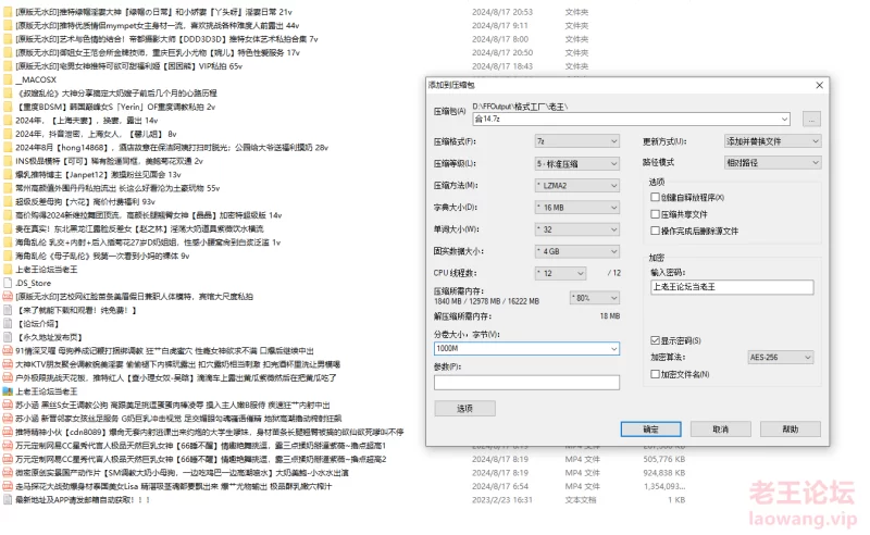 H14 丫头呀 婉儿 困困熊 可可 六花 吴晗等热门网红大合集 [406v-23.6GB]