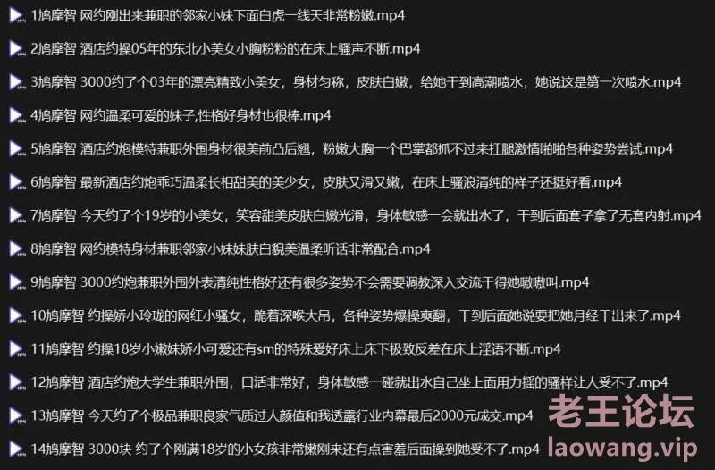 探花鸠摩智全集14部《14V 10.19G》《百度云》 [14v-10GB]