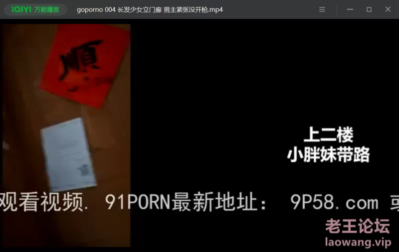 91Porn掃街大神goporno 合集 [25v-1.68GB]