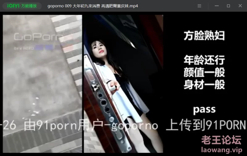 91Porn掃街大神goporno 合集 [25v-1.68GB]