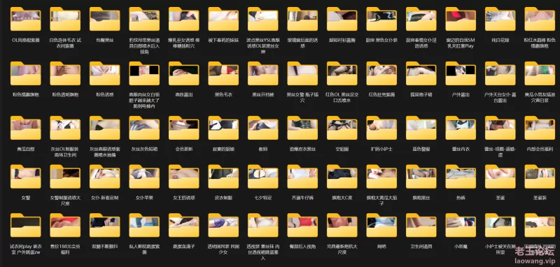 完具酱 娜美妖姬 自整理精简大合集 [150V+NP-120GB]