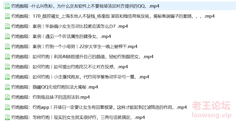 约炮/网聊/交友软件/网约 精品教程 [25v-928m]