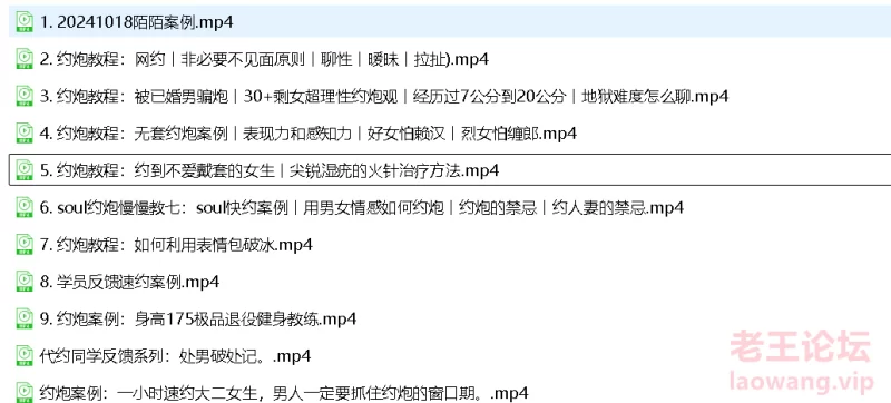 约炮/网聊/交友软件/网约 精品教程 [25v-928m]