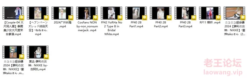[4K] 油管上个人收藏的一些有看点的cosplay [12V-8GB]