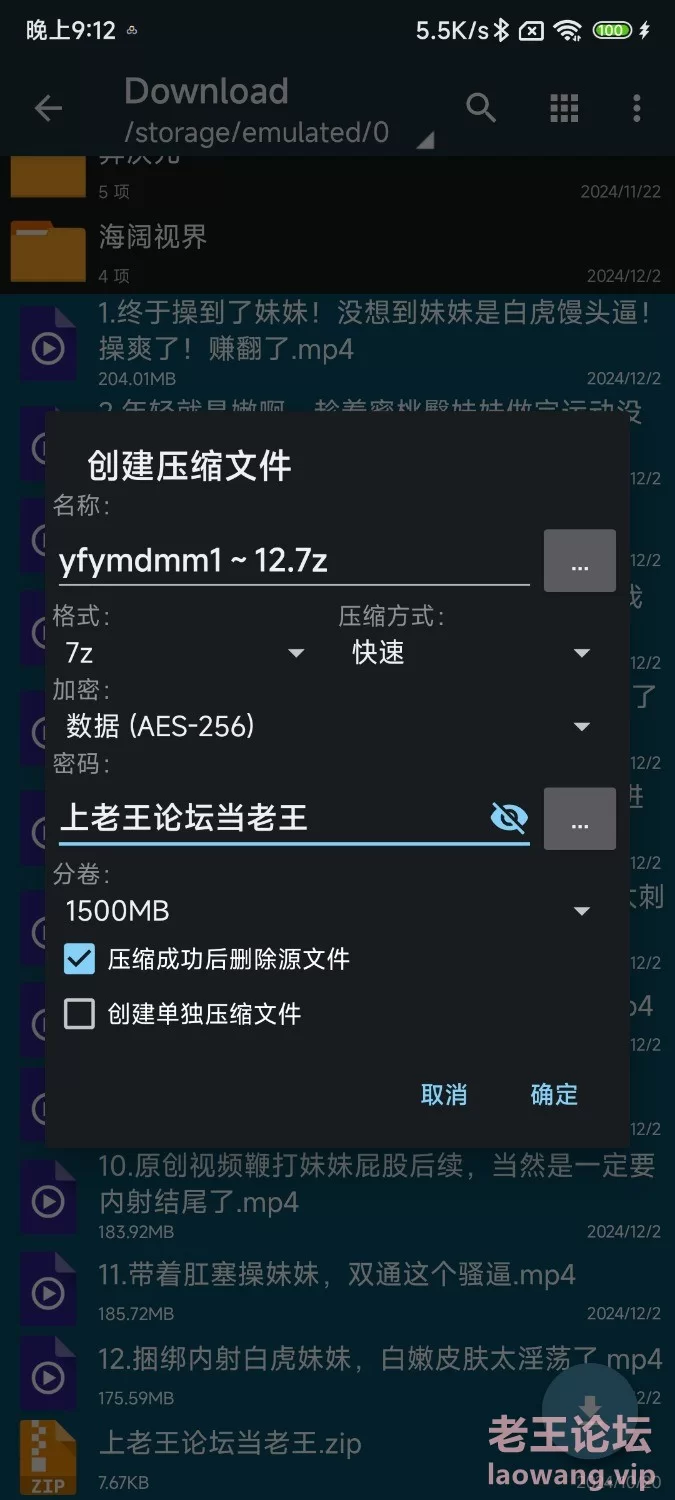 海角博主[异父异母的妹妹]付费视频合集 [12v-2.1GB]