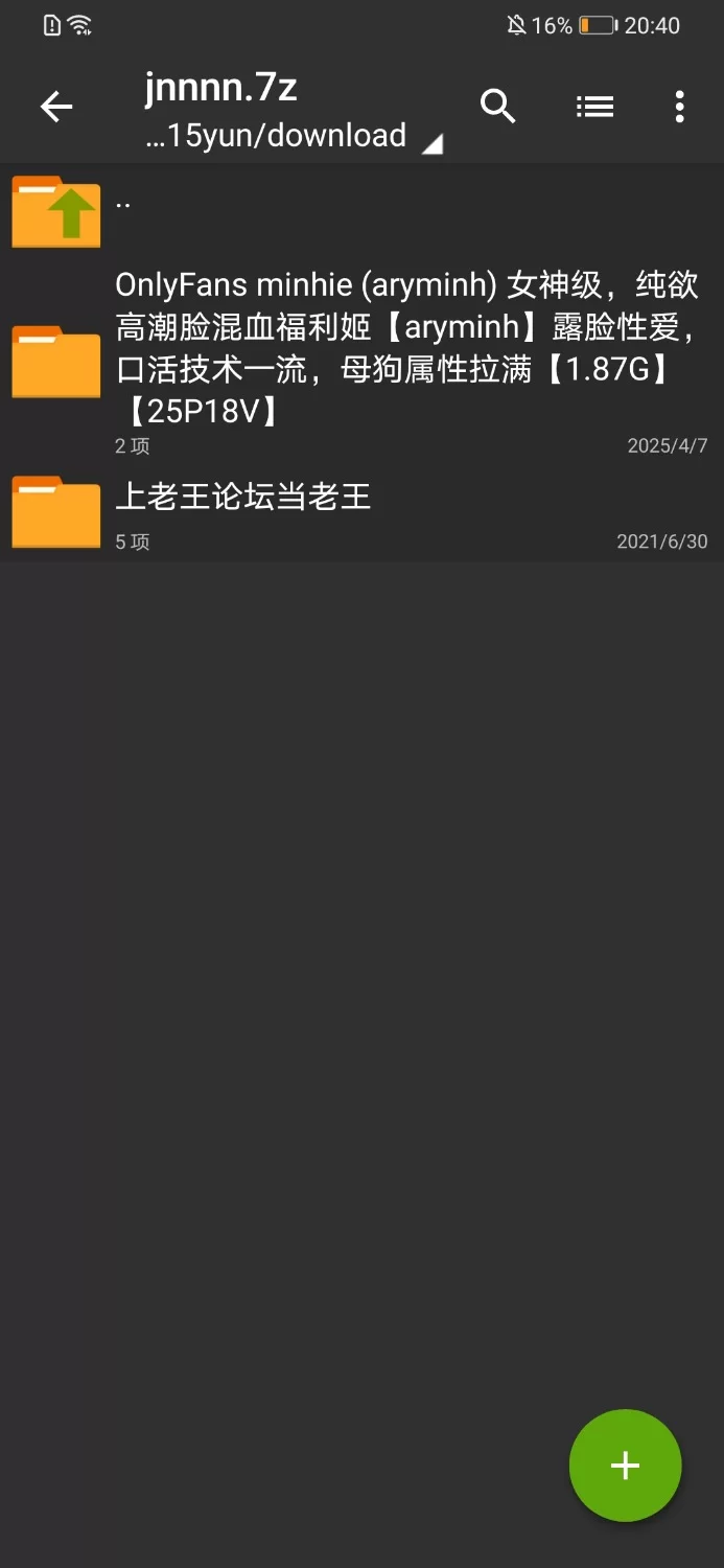OnlyFans 纯欲高潮脸混血福利姬《aryminh》露脸性爱，口活技术一流，母狗属性拉满[18V 25P-1.87GB] | 精选Porn