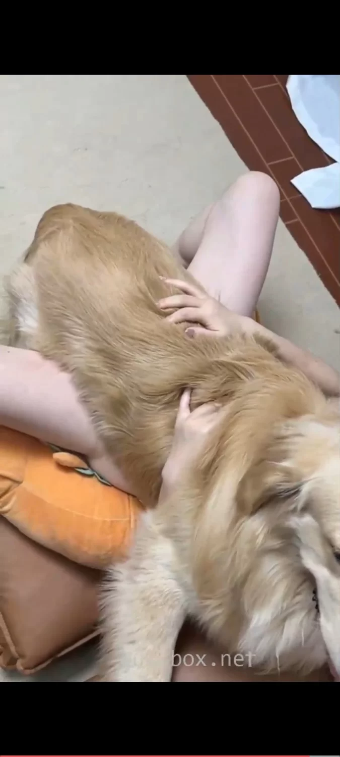 抖音✨香香公主✨猎奇人狗整合合集❤️ [9v-6.3GB] | 精选Porn