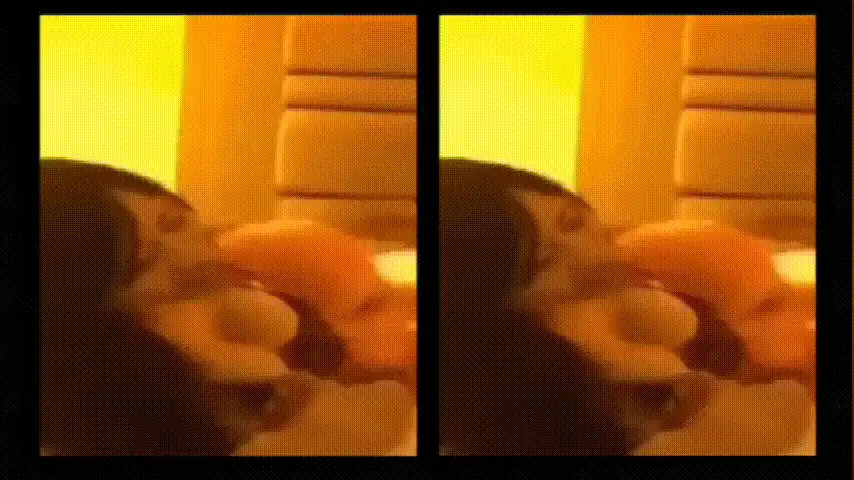 艺校毕业生❤️被潜规则偷拍视频流出 演员颜值就是高! [3v12p-228MB]