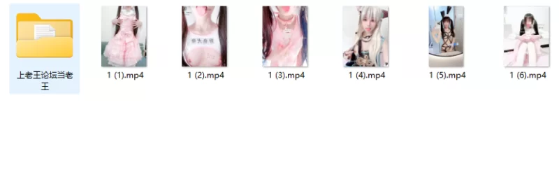 《小雯宝》双马尾JK少女白虎萝莉自慰白丝 [6v-1.04GB]